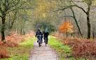 SO6413 : Family cycling in the - via Daymix