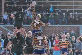 Image result for Hamilton Rugby Football Club