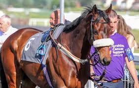 Image result for Ayr Riding Club