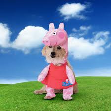 Image result for peppa pig costume