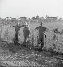 Résultat de recherche d'images pour "farm security administration photo"