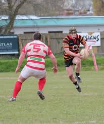 Image result for Bideford Rugby Football Club