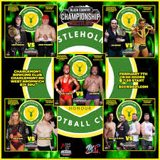 Image result for Black Country Bowling Club