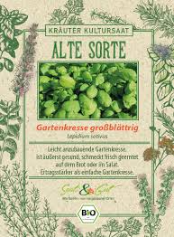 Image result for Gartenkresse