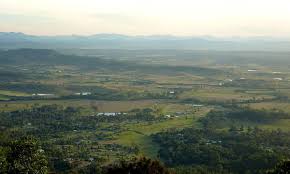 「Mt. Tamborine」的圖片搜尋結果