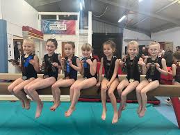 Image result for Holbeach and Fenland Gymnastics Club