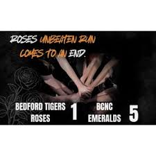 Image result for Bedford Tigers Tchoukball Club