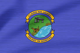 Image result for Clann Na Ngael