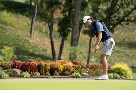 Image result for Uwe Golf Club