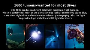 Image result for Deep and Wide Diving