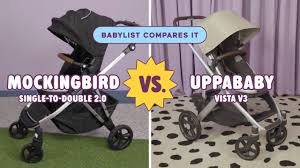 Image result for Soar Valley Strollers C.C