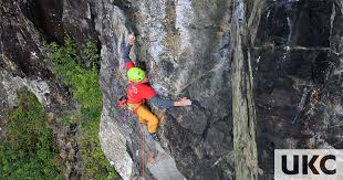 Image result for Ukc Falcons