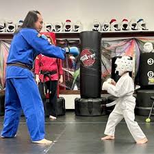 Image result for Bushido Academy Of Martial Arts (Bama)