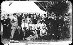 Image result for Balcombe Stoolball Club