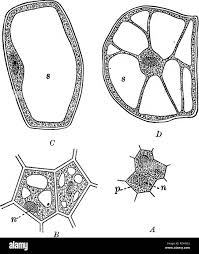 Image result for р%D...126