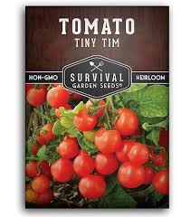 Afbeeldingsresultaat voor kosmonaut volkov 68D tomato