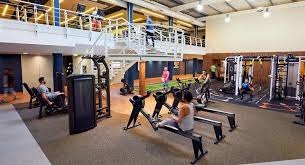 Image result for David Lloyd (Bournemouth) Badminton Club