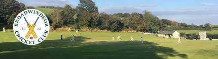 Image result for Brodsworth Main Cricket Club