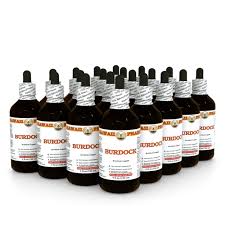 Attēlu rezultāti vaicājumam “Arctium lappa fruit”