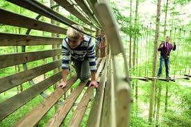 Image result for Go Ape! Dalby