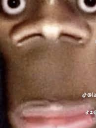 Image result for funniest picture ever