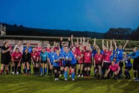 Image result for Hassocks Ladies FC