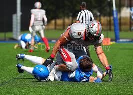 Image result for Edinburgh Wolves