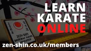 Image result for Zen Shin Seicho Do Adult Karate