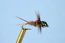 Attēlu rezultāti vaicājumam “nymph”