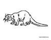 Shrew coloring page
