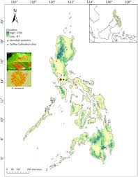 Attēlu rezultāti vaicājumam “Diderma hemisphaericum young”