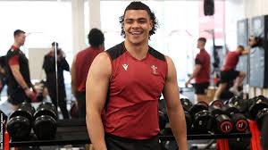 Image result for Ely Rugby Union Football Club