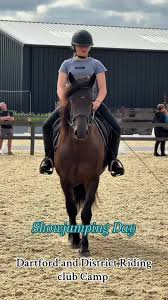 Image result for Ddrc (The Club)