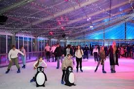 Image result for Solihull Recreational Ice Dancing Club