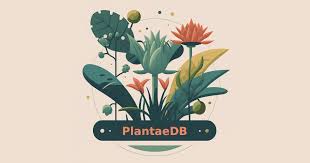 Attēlu rezultāti vaicājumam “Seligeria donniana sporophyte”