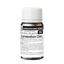 Attēlu rezultāti vaicājumam “Lycopodium clavatum”