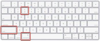 Image result for print screen