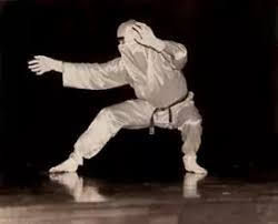 Image result for Thomas Clifford's Martial Arts