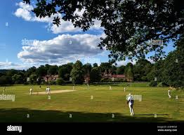 Image result for Worplesdon & Burpham Cricket Club