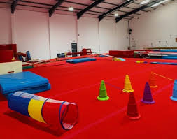 Image result for Rowan Gymnastics Club