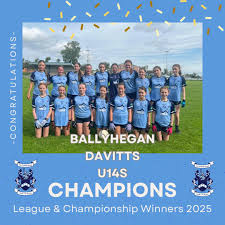 Image result for Ballyhegan Davitts Gaa Club