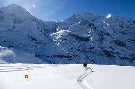 「イルミンガルド・スノーレヴィク」の画像検索結果