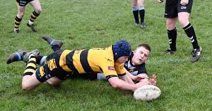 Image result for Lowca Amateur Rugby League Football Club