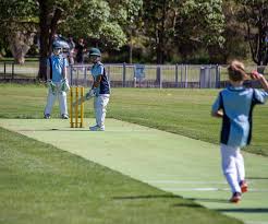 Image result for Beverley Cricket Club