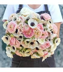 Attēlu rezultāti vaicājumam “Ranunculus mendax flower”