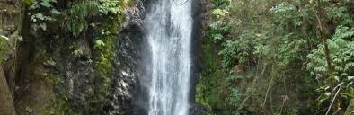 「parque los chor」の画像検索結果