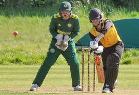 Image result for Checkendon Cricket Club
