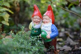 Image result for Gartenzwerg