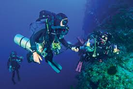 Image result for innerspace divers