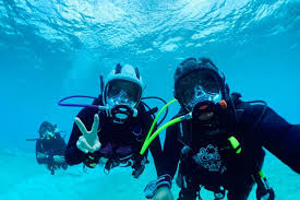 Image result for Exe To Sea Diving